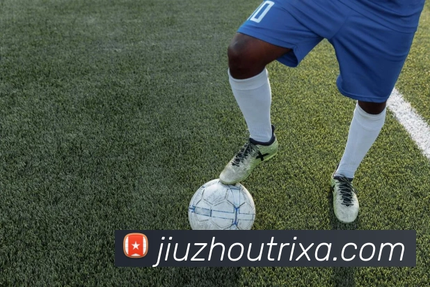 九州体育平台生态图